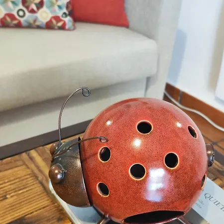 El 6 De Busquet * Caces