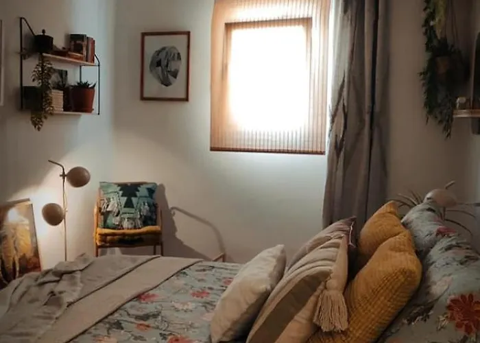 El 6 De Busquet Caces