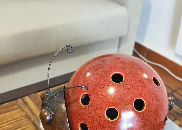 El 6 De Busquet * Caces